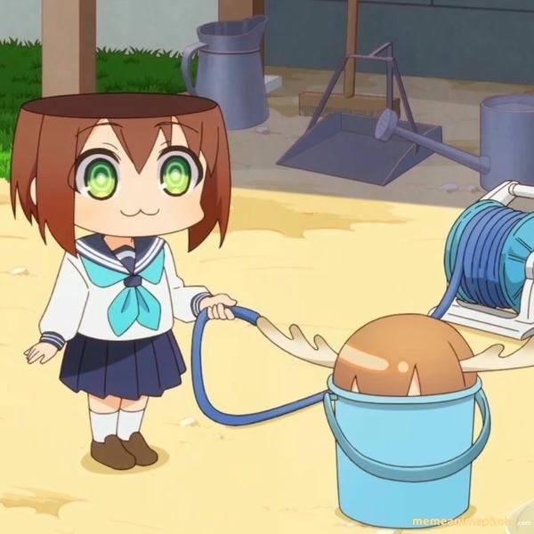 meme nokotan meme pha troll bá đạo