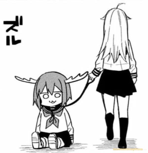 meme nokotan meme pha xử lý đi vào lòng đất