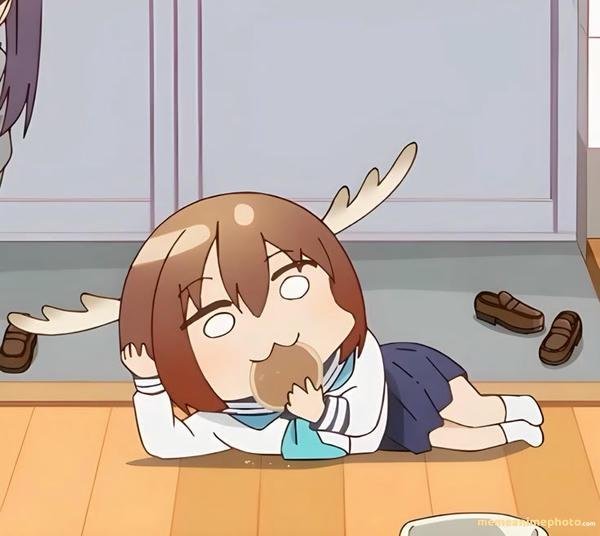 meme nokotan meme troll bạn bè