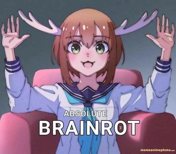 meme nokotan meme troll dễ sợ