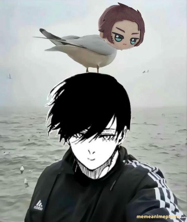 meme rin itoshi meme cười xỉu luôn