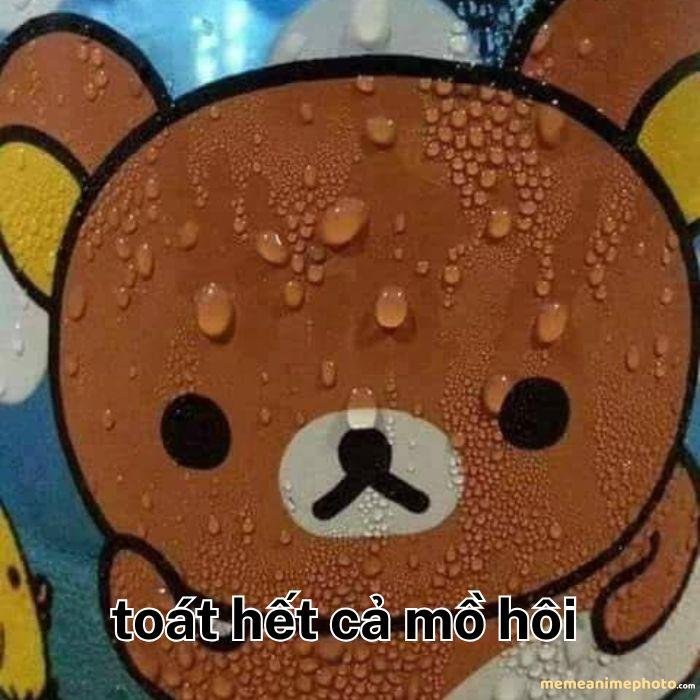meme toát mồ hôi hài siêu hài