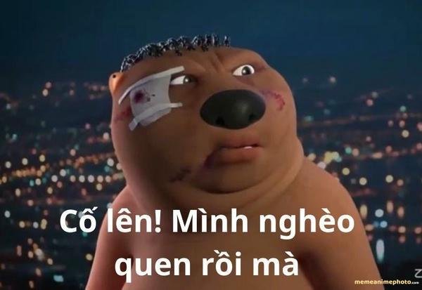 meme trung quốc troll cực mạnh