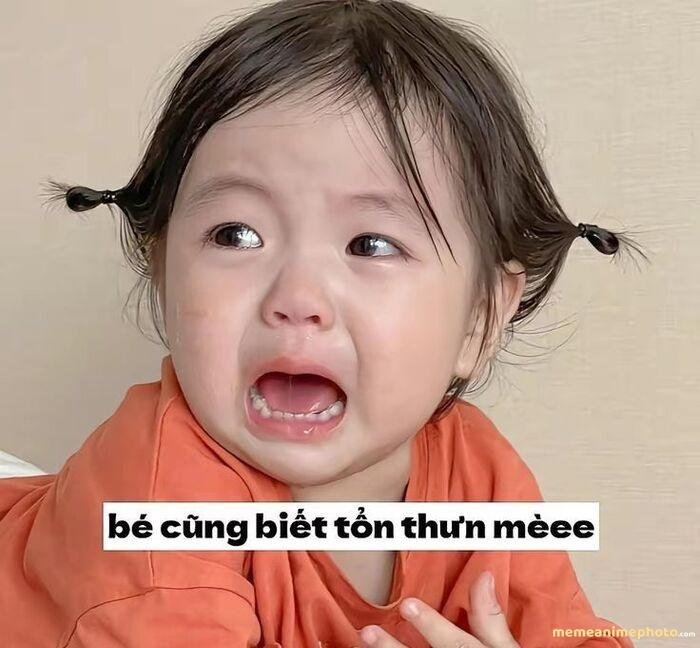 meme tủi thân cute