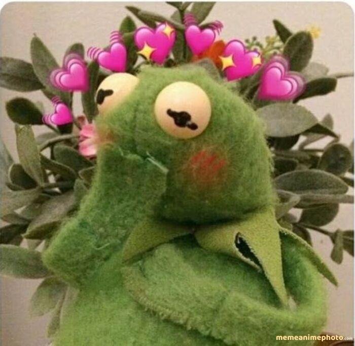 meme yêu thương siêu đáng yêu