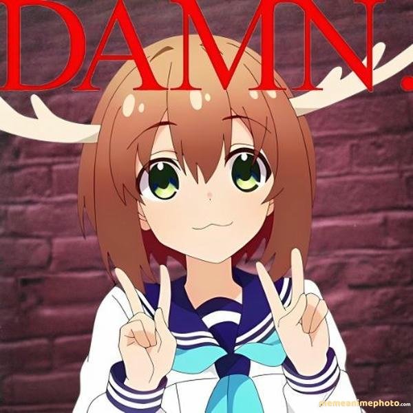 nokotan meme biểu cảm siêu hài