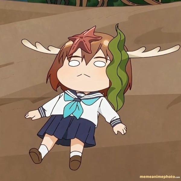 nokotan meme chế bựa vui nhộn