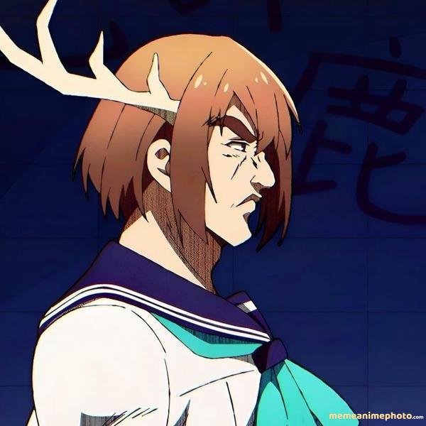 nokotan meme meme chế buồn cười