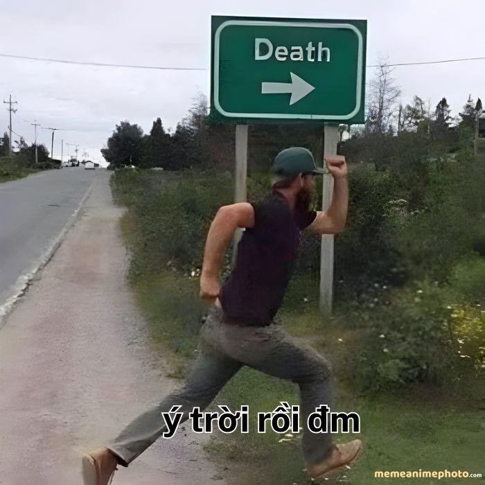 ý trời meme bựa nhất