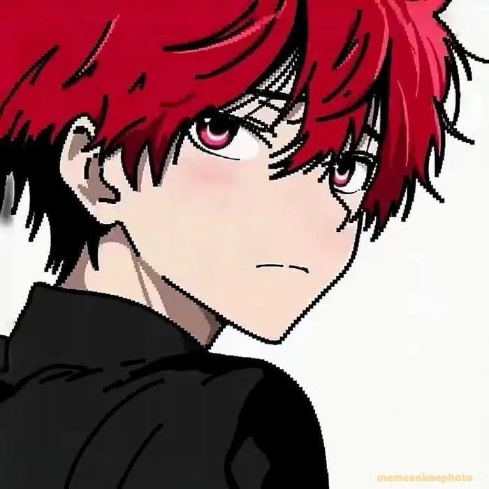 avatar anime đôi cá tính